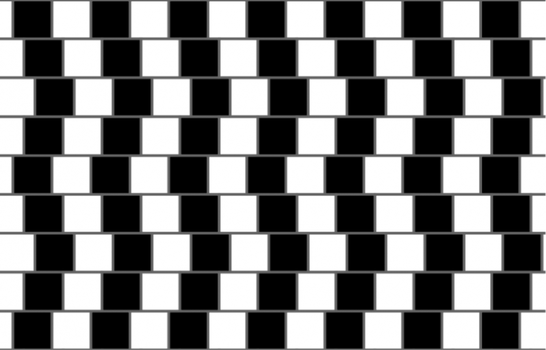 voorbeeld van een optische illusie waar een illusionist gebruik van maakt
